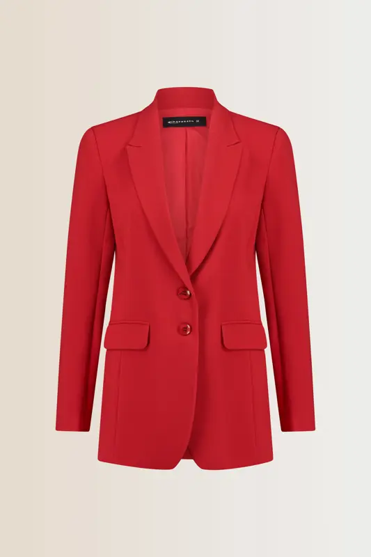 Basis blazer