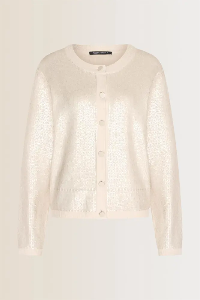 Pailletten vest