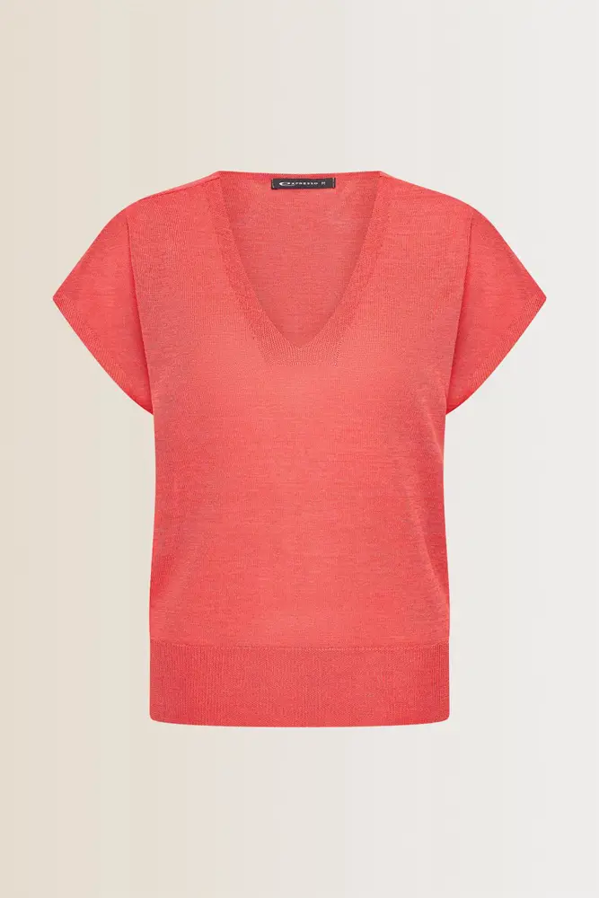 Top met V-hals