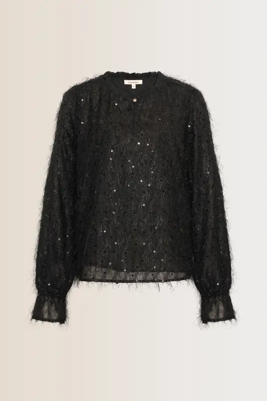 Blouse met pailletten