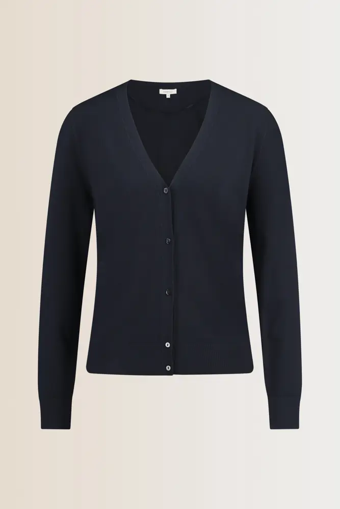 Vest met V-hals