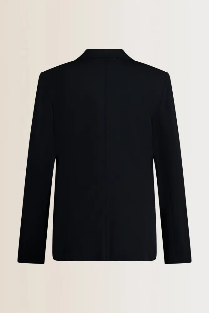 Basis travelblazer