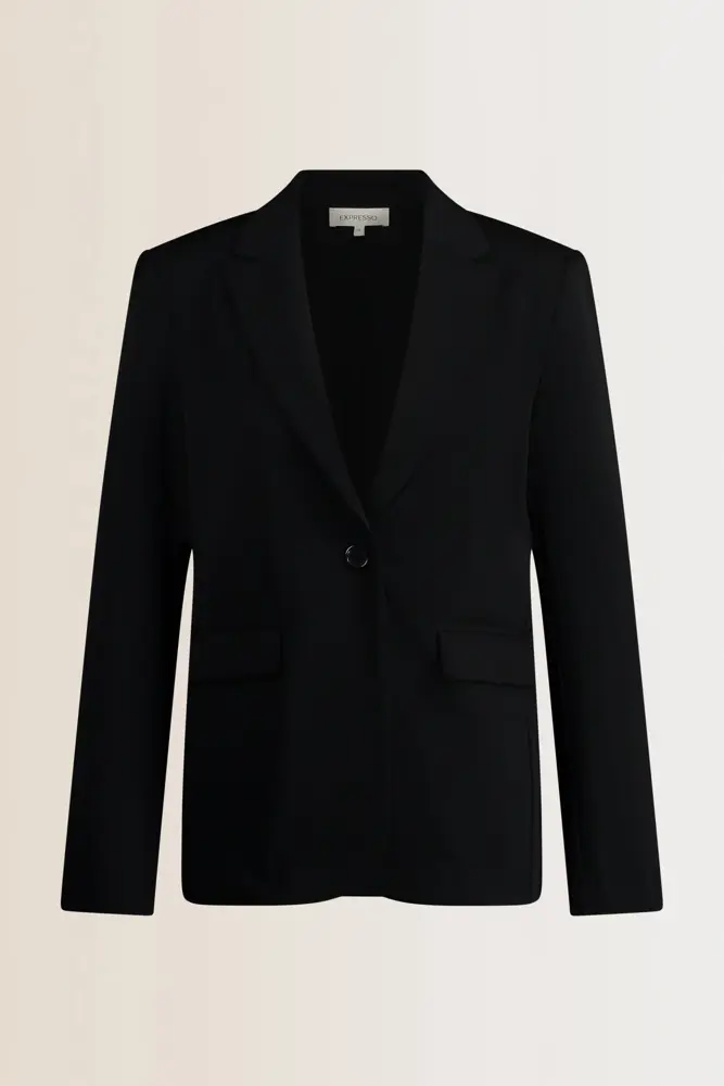 Basis travelblazer
