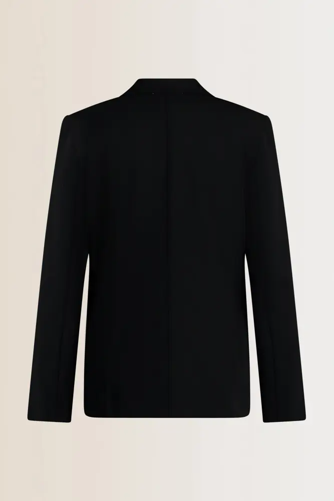Basis travelblazer