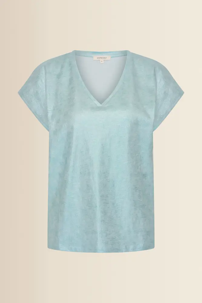 Glanzende top met V-hals