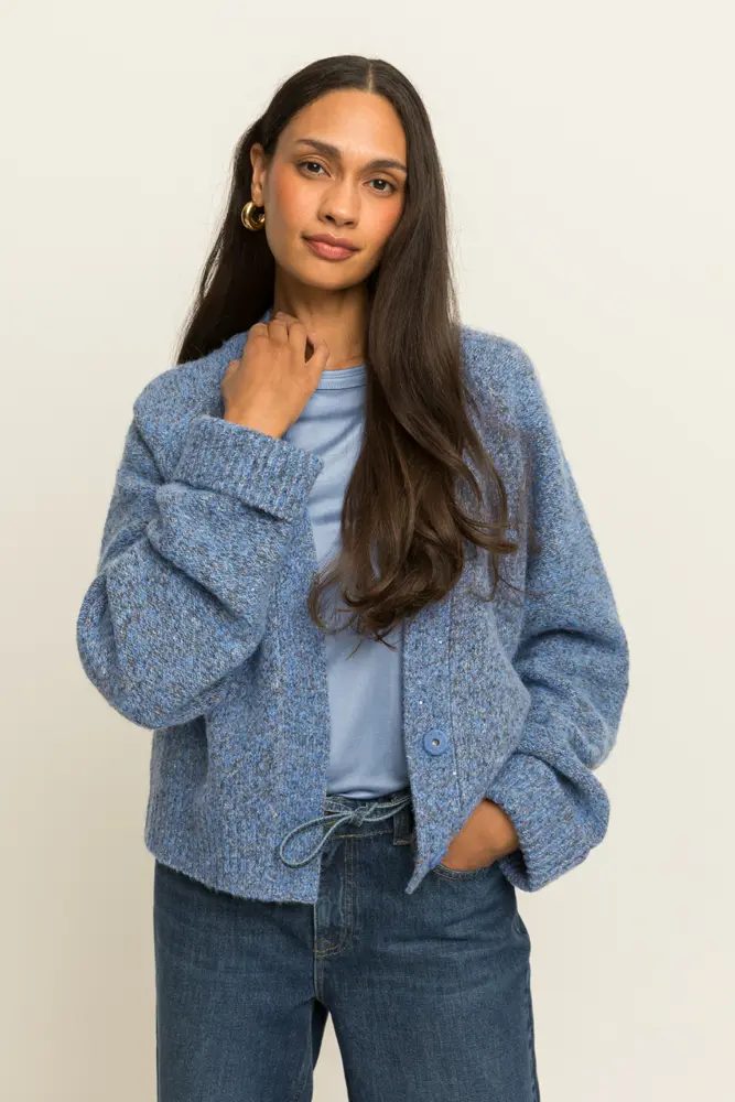 Gemêleerd vest met subtiele glans