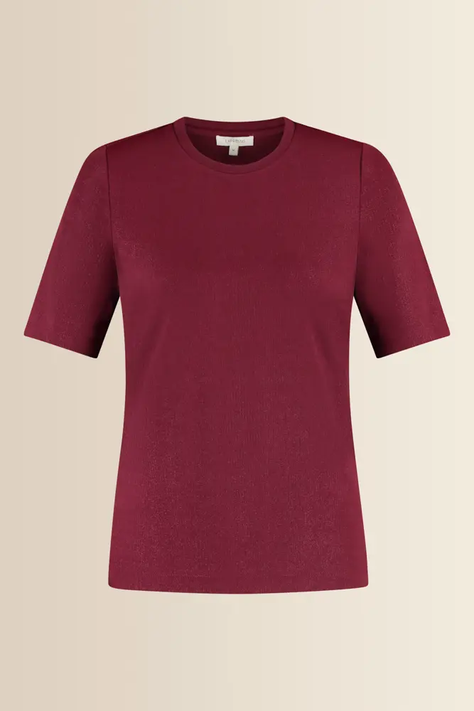 T-shirt met subtiele glans