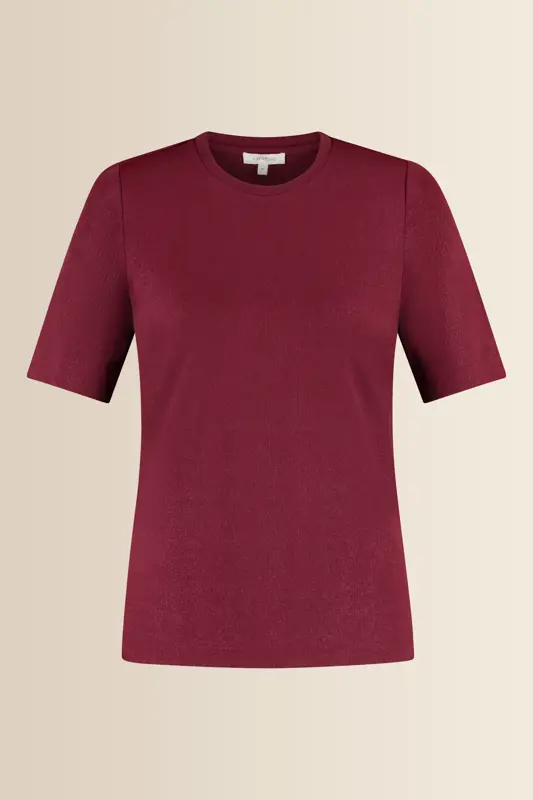 T-shirt met subtiele glans