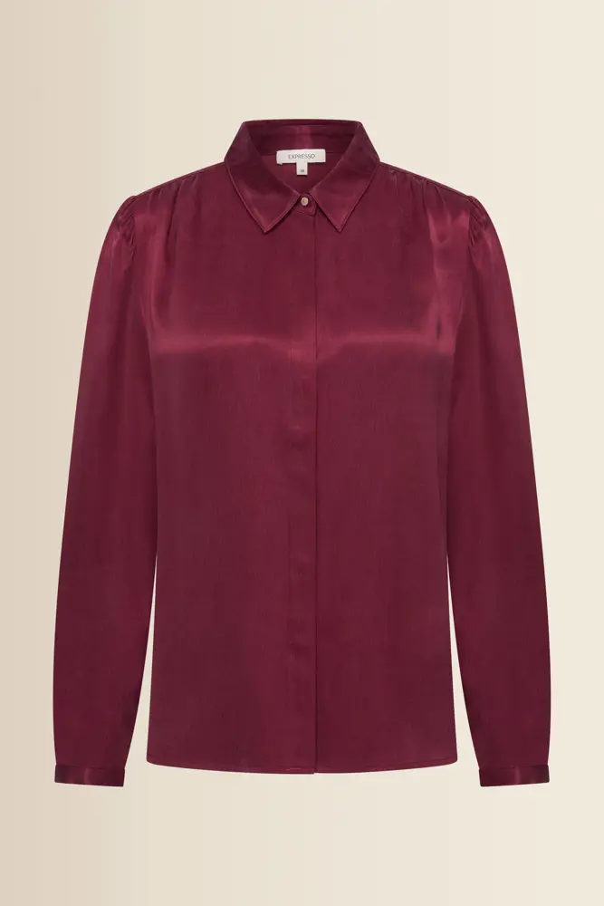 Blouse met lichte glans